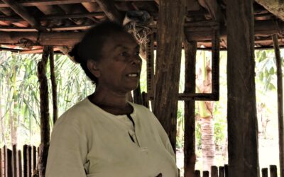 Doutoras da Terra: Encontro de Mulheres no Sítio Raízes reforça laços com a terra e com os saberes ancestrais