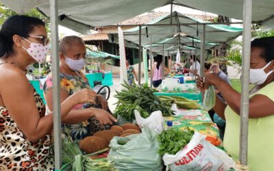 Feira Agroecológica e Solidária celebra Dia da Amazônia em São Luís