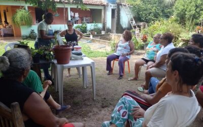 Rede Emaranhadas promove encontro sobre Quintais Produtivos como ferramenta para manutenção do Bem Viver e da autonomia feminina