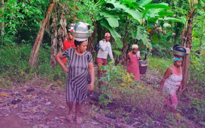 “Nesse mundo nosso, não tem quem ganhe quando a natureza perde”