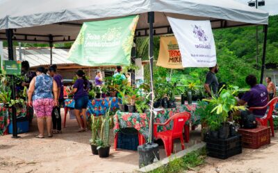 Feira Emaranhadas – edição Tendal Mirim movimenta Mojó com cultura e economia solidária