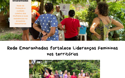 Boletim Emaranhadas 2025